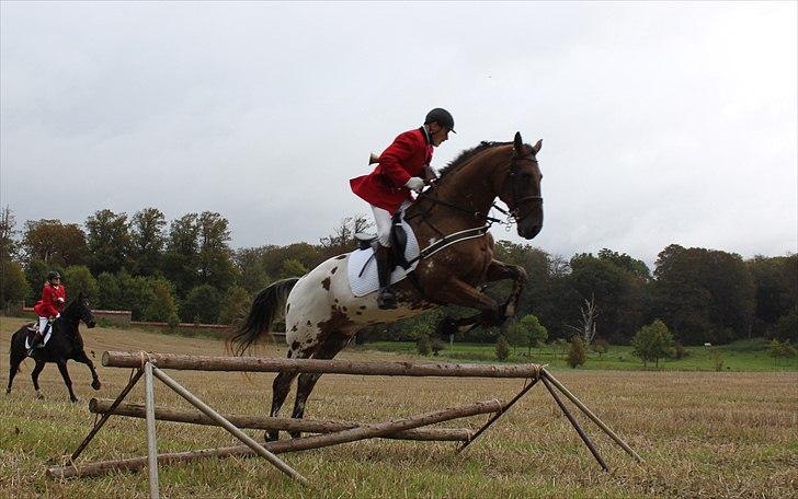 Hagenskov godsjagt 2010 - Mogens og Faustino billede 25