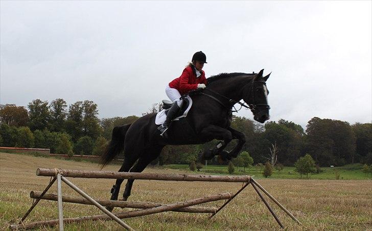 Hagenskov godsjagt 2010 billede 24