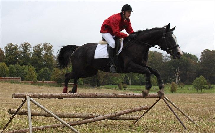 Hagenskov godsjagt 2010 billede 23