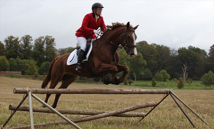 Hagenskov godsjagt 2010 - Ulla og Bastian billede 22