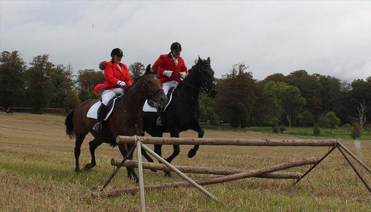 Hagenskov godsjagt 2010 - Fra venstre Kate og Cadeu, Bruno og Zoya billede 21