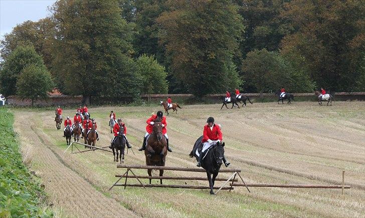 Hagenskov godsjagt 2010 - Forrest Bruno og Zoya, Kate og Cadeo billede 20