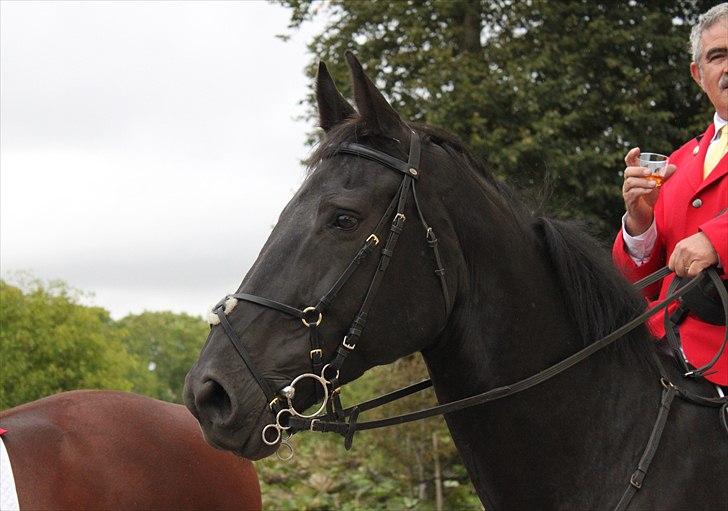 Hagenskov godsjagt 2010 - Zoya billede 19