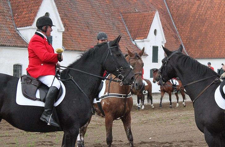 Hagenskov godsjagt 2010 - Bruno og Zoya billede 15