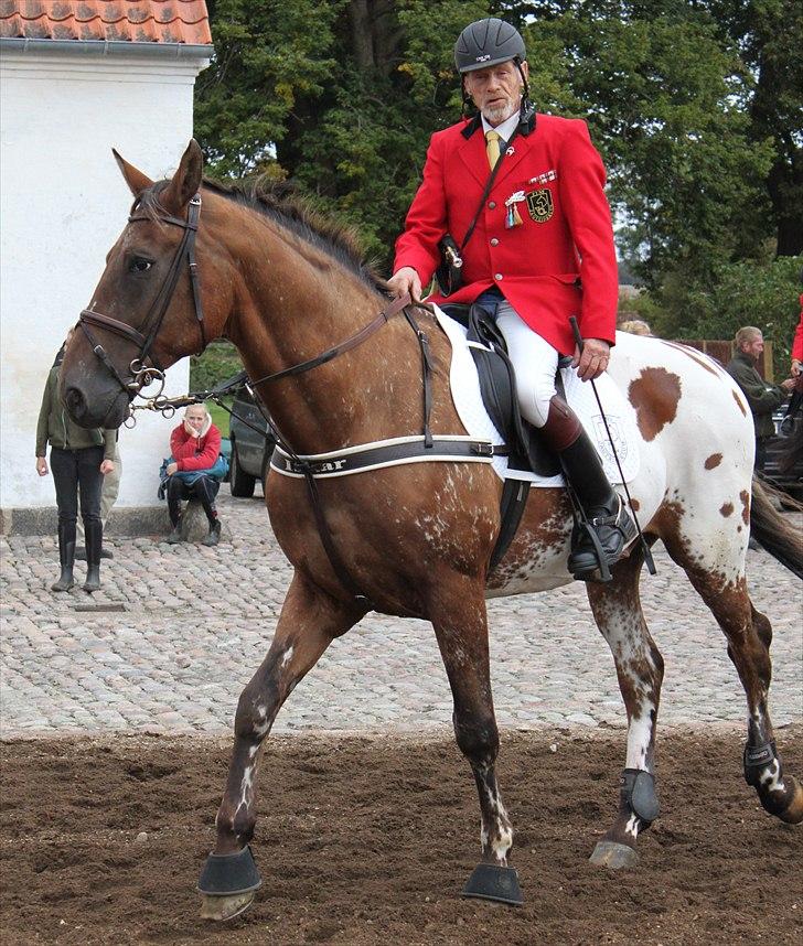 Hagenskov godsjagt 2010 - Mogens og Faustino billede 13