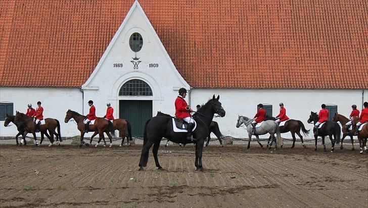 Hagenskov godsjagt 2010 - Bruno og Zoya billede 12