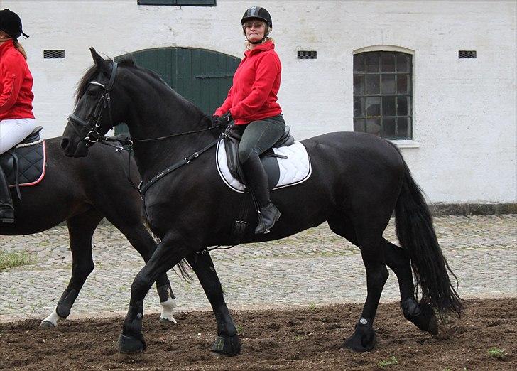 Hagenskov godsjagt 2010 - Frieseren hedder Gemke billede 10