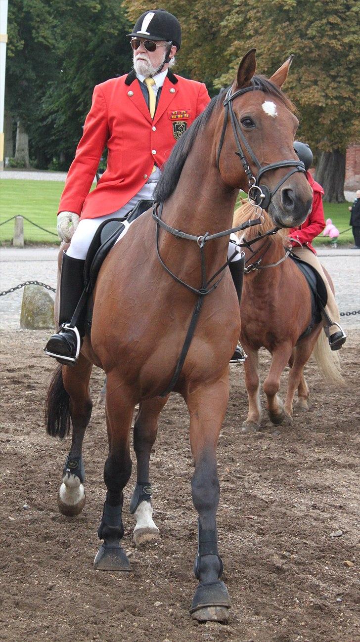 Hagenskov godsjagt 2010 billede 7