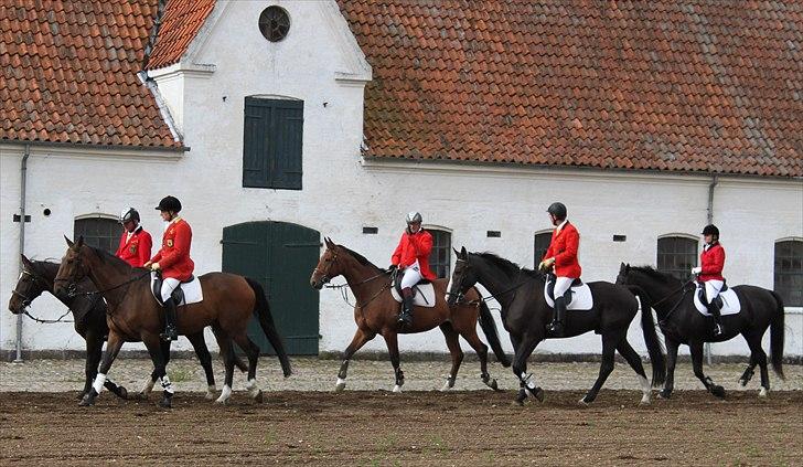 Hagenskov godsjagt 2010 billede 3