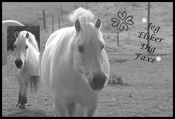 Billeder jeg har lavet  - Til Faxe´s ejer 
Det er kun hende der må tage billedet billede 21