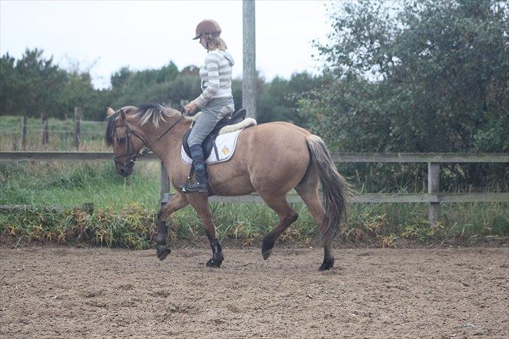 Cushing syndrom billede 2