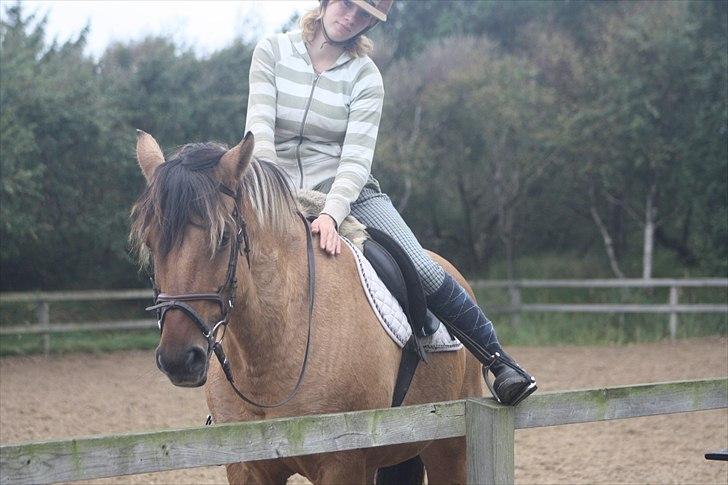 Cushing syndrom billede 3