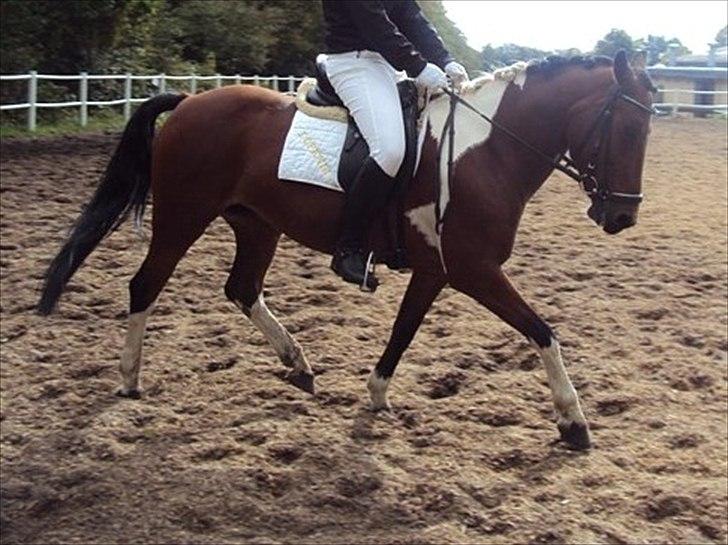 Cecilie Nicolajsen og Dopendi Vesterlund - Stævne i PIH :D billede 9