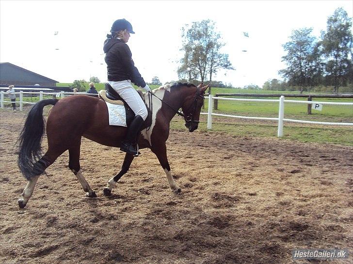 Cecilie Nicolajsen og Dopendi Vesterlund - Stævne i PIH :D billede 10