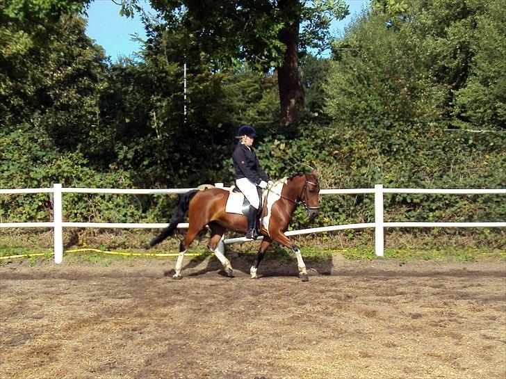 Cecilie Nicolajsen og Dopendi Vesterlund - Stævne i PIH :D billede 14