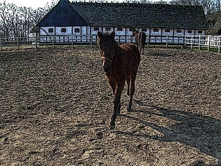 Tegnefilms figur til andre - Olympic spirit billede 111