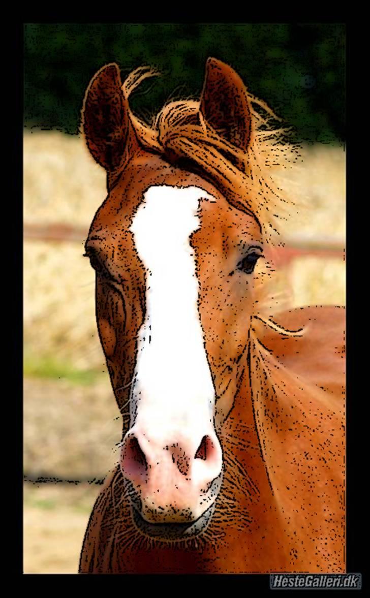 Tegnefilms figur til andre - Comet billede 113
