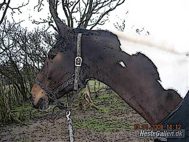 Tegnefilms figur til andre - Pinto billede 115