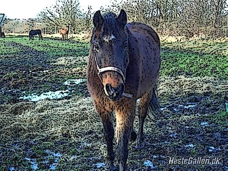 Tegnefilms figur til andre - Kavello billede 117