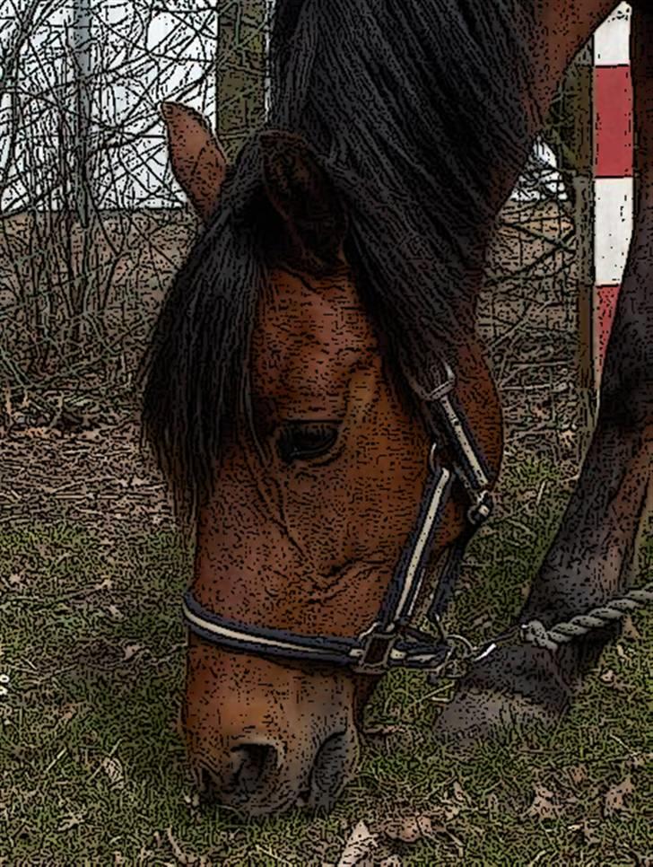 Tegnefilms figur til andre - Piquina billede 118