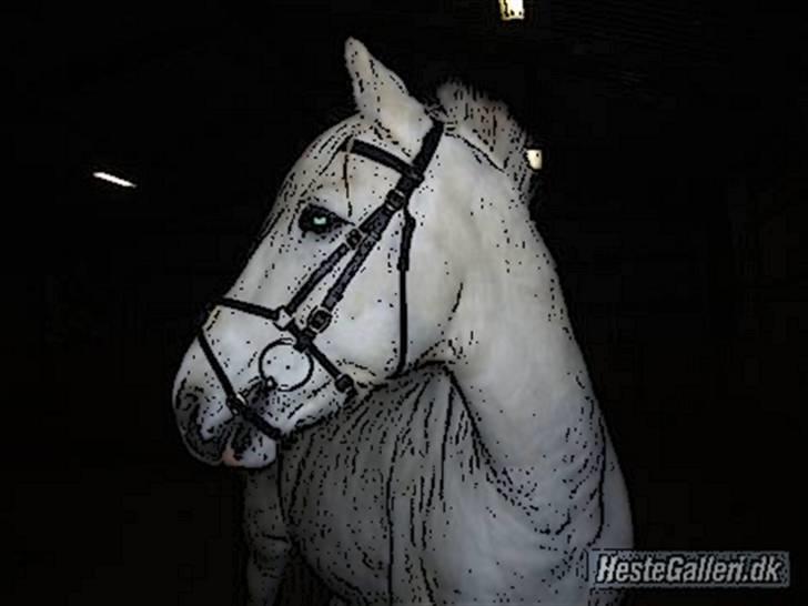 Tegnefilms figur til andre - Winner billede 119