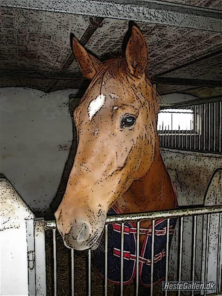 Tegnefilms figur til andre - Buddy billede 120