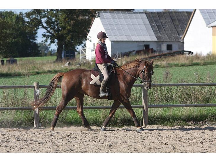 {{currentPhoto.altText}} billede {{currentPhoto.number}}