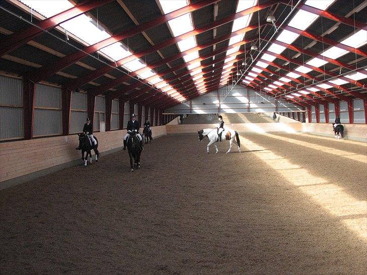 Abildstrup Ridecenter og Hejlsminde Rideklub stævne  billede 4