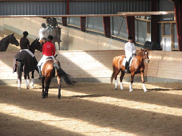 Abildstrup Ridecenter og Hejlsminde Rideklub stævne  billede 6