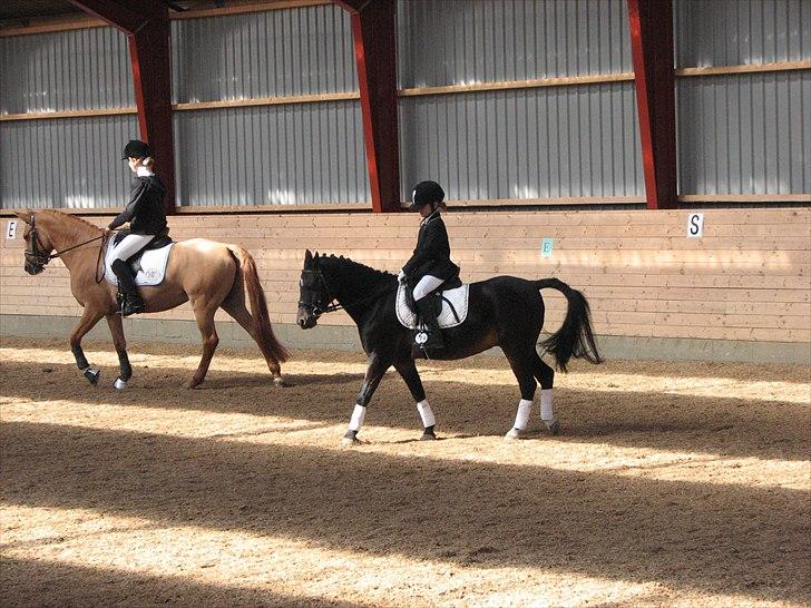 Abildstrup Ridecenter og Hejlsminde Rideklub stævne  billede 7