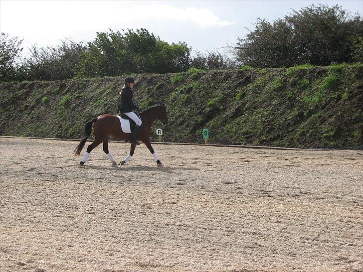 Abildstrup Ridecenter og Hejlsminde Rideklub stævne  billede 8