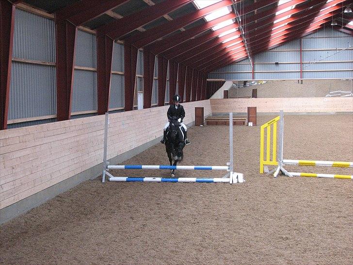 Abildstrup Ridecenter og Hejlsminde Rideklub stævne  billede 9