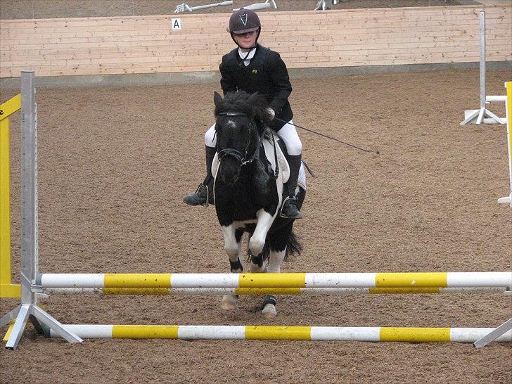 Abildstrup Ridecenter og Hejlsminde Rideklub stævne  billede 11