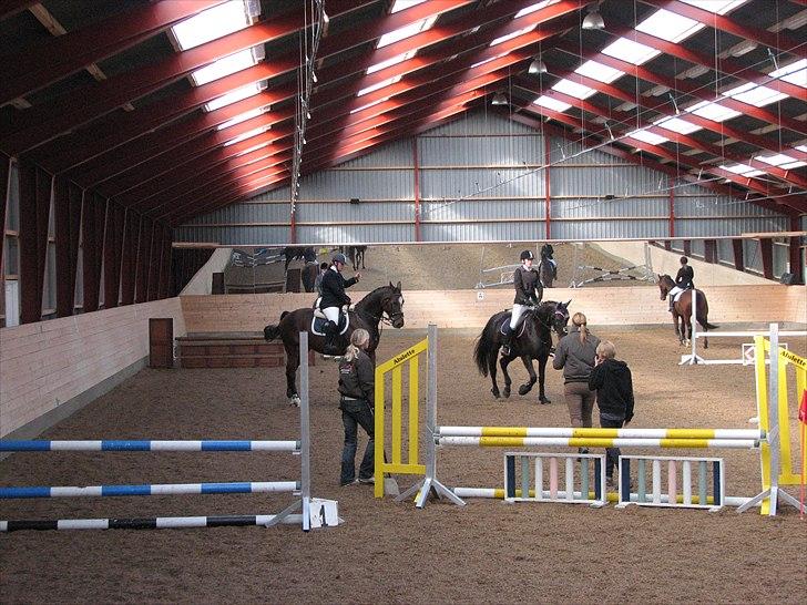 Abildstrup Ridecenter og Hejlsminde Rideklub stævne  billede 12