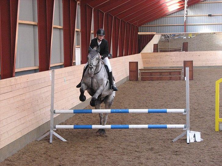 Abildstrup Ridecenter og Hejlsminde Rideklub stævne  billede 13