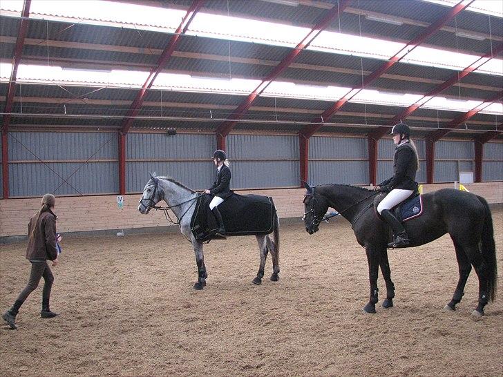 Abildstrup Ridecenter og Hejlsminde Rideklub stævne  billede 14