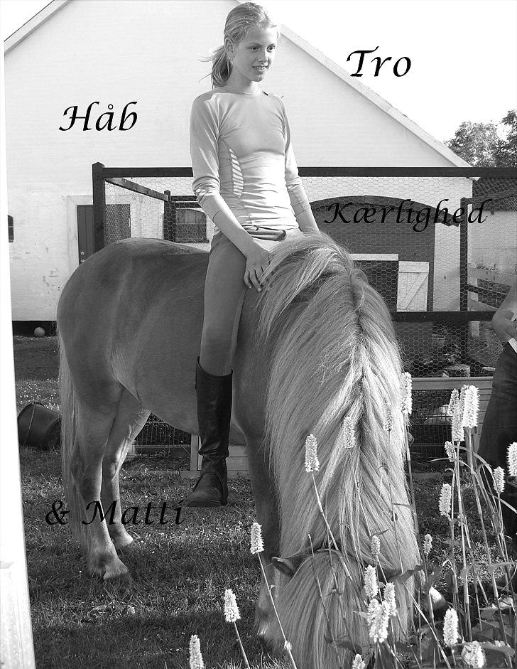 Billeder jeg har lavet  - Til Matti´s ejer
Det er kun hende der må tage billedet C: billede 22