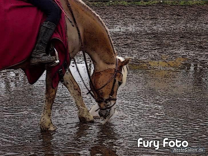 Tegnefilms figur til andre - Fusse billede 123