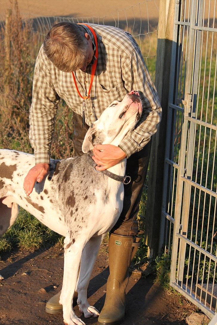 Langesø hundepension:) - 10-10-2010 billede 2