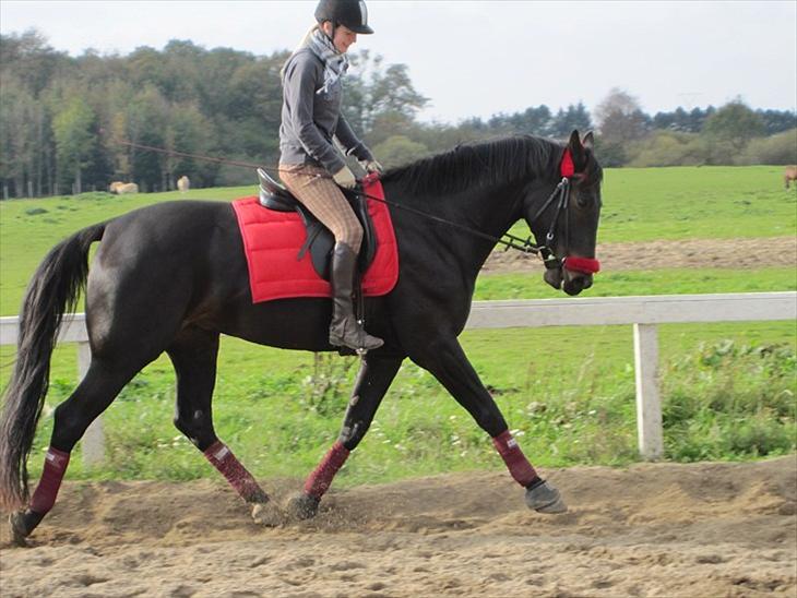 {{currentPhoto.altText}} billede {{currentPhoto.number}}