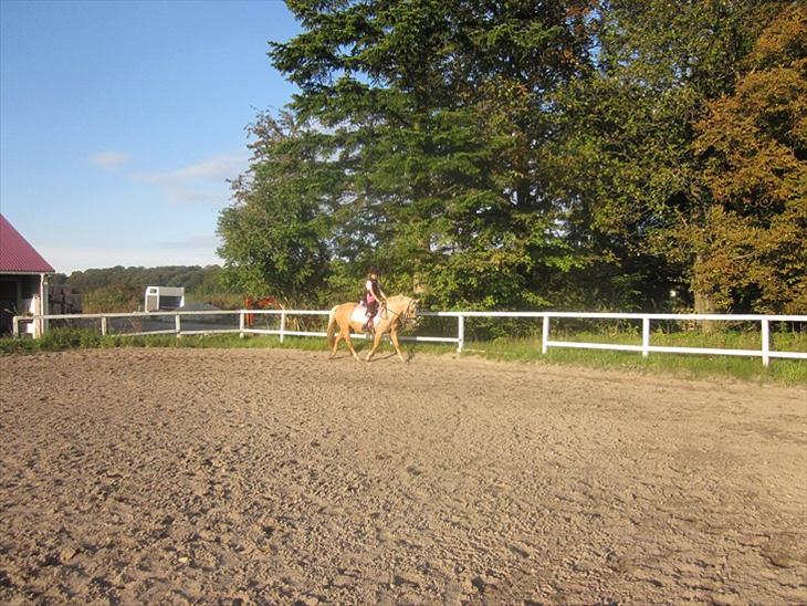 {{currentPhoto.altText}} billede {{currentPhoto.number}}