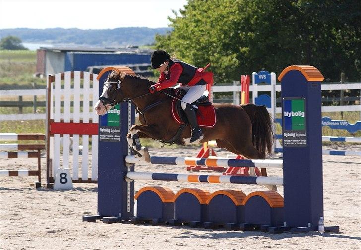 Jappe og Rebecca - Det sidste stævne :'( billede 4