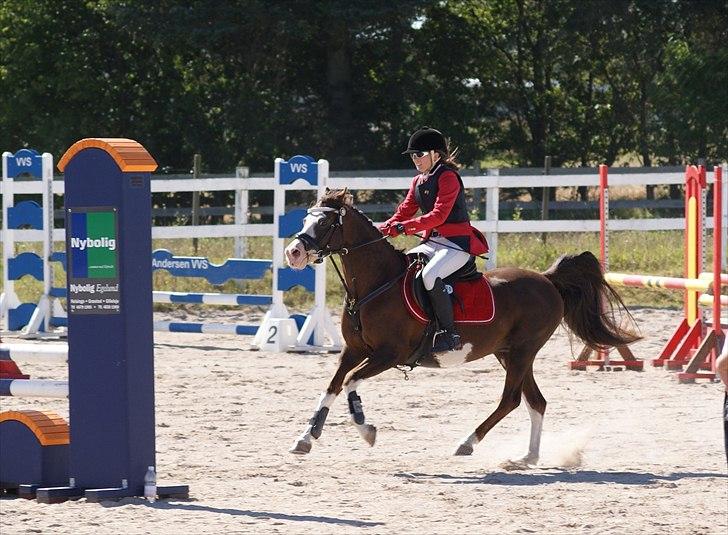 Jappe og Rebecca - Det sidste stævne :'( billede 5