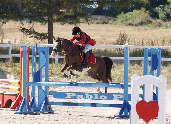 Jappe og Rebecca - Det sidste stævne :'( billede 6
