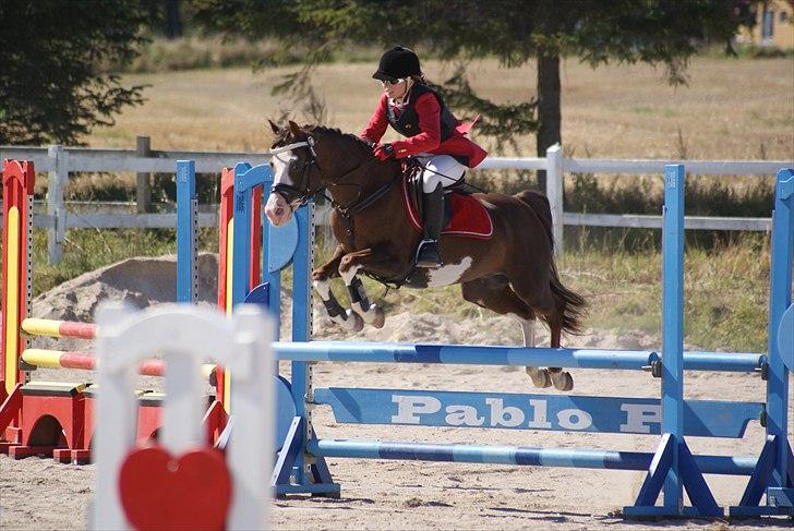 Jappe og Rebecca - Det sidste stævne :'( billede 8
