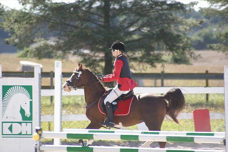 Jappe og Rebecca - Det sidste stævne :'( billede 9