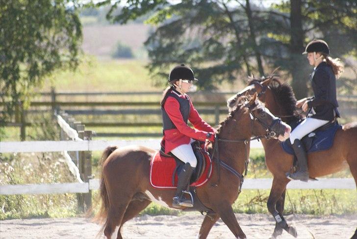 Jappe og Rebecca - Det sidste stævne :'( billede 10
