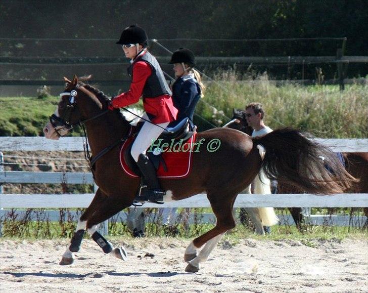 Jappe og Rebecca - Det sidste stævne :'( billede 15