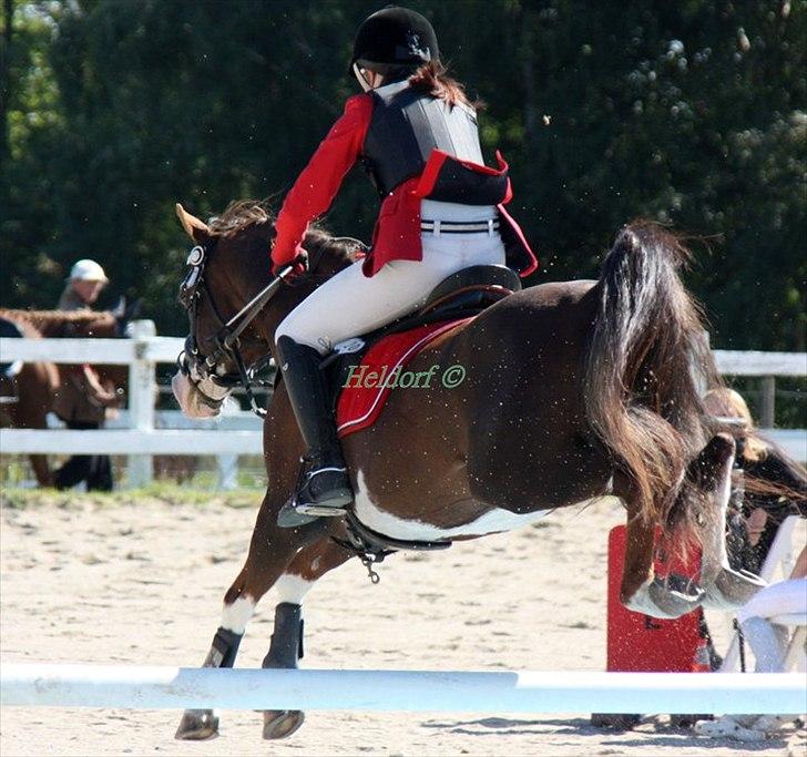 Jappe og Rebecca - Det sidste stævne :'( billede 16