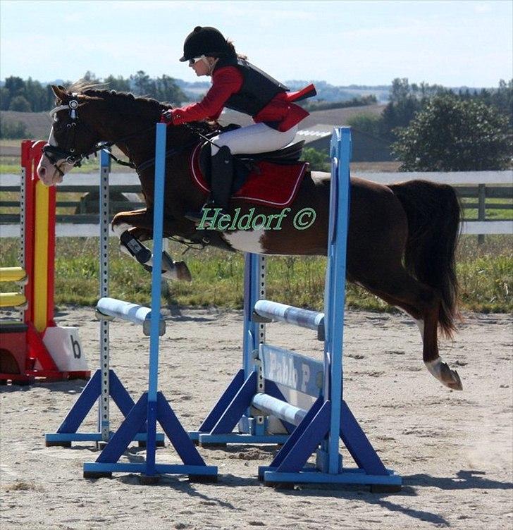 Jappe og Rebecca - Det sidste stævne :'( billede 17